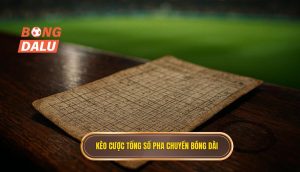 Kèo cược tổng số pha chuyền bóng dài