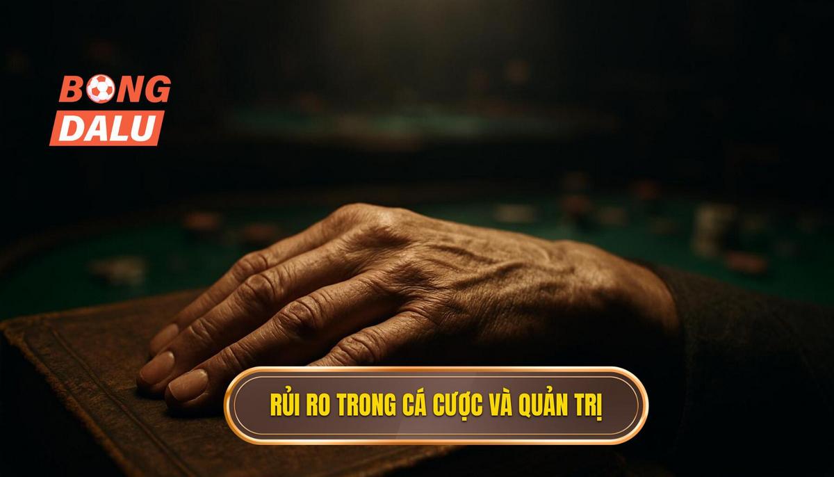 Bản chất của rủi ro trong cá cược và tại sao cần quản trị