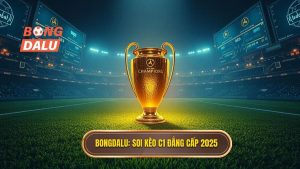 Soi kèo các trận đấu cúp C1 châu Âu 2025: Kinh nghiệm từ BONGDALU