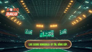 Cập nhật Live Score bóng đá