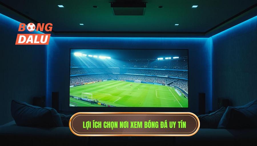 Tại sao việc chọn địa chỉ xem trực tiếp bóng đá lại quan trọng?