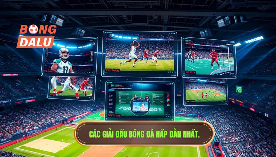 Bảng tổng hợp các giải đấu được quan tâm nhất hiện nay
